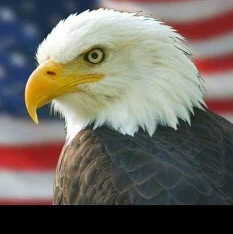 9a5e4e13-65d8-4d4f-b51c-3c92991ff89c