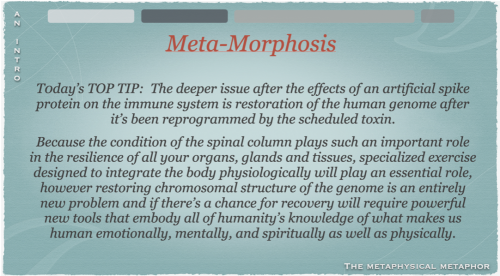 Screen Shot 2022-09-14 at 10.49.50 AM