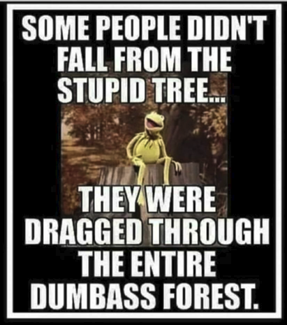 6c0fe33bc1cc724f
