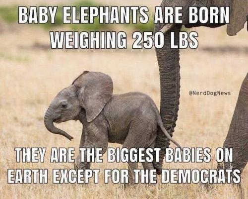 except for the democrats