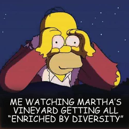 Martha's Vineyard - Enriched by diversity