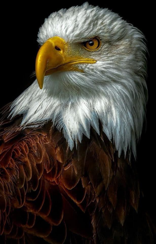 1536224f-932b-4aaf-9927-4c4580a5f598