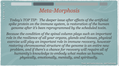 Screen Shot 2022-09-09 at 5.13.49 PM