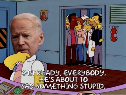 stupid