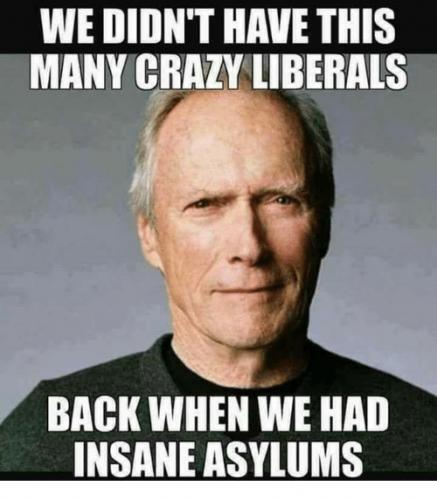 had insane asylums