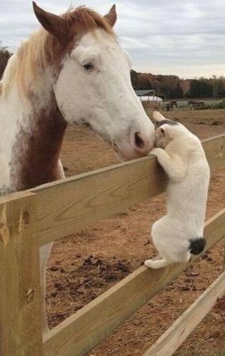 Screenshot_20220914-102114_Messages