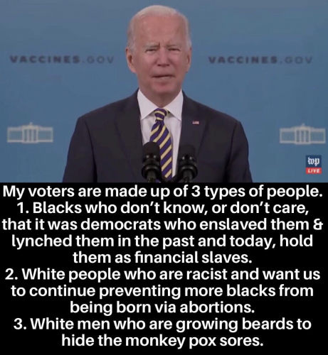 USA Biden voters
