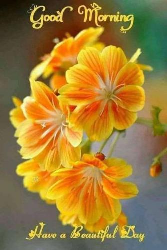 598358e6-0fbd-4f36-a552-35ab2f7b5704