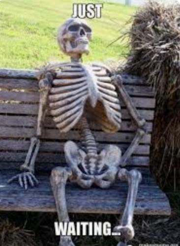 Screenshot_20220917-190150_Gallery