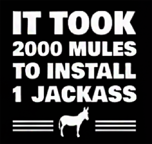 M jackass