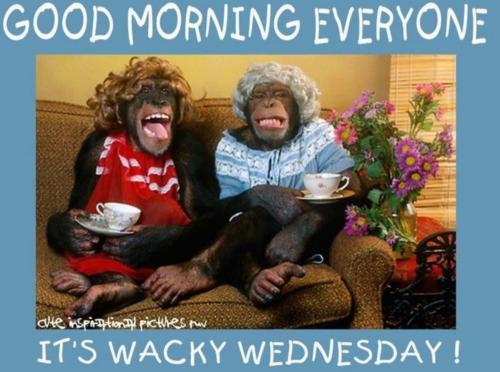 a9547fc6-1035-49a3-935e-fa9affcb3242