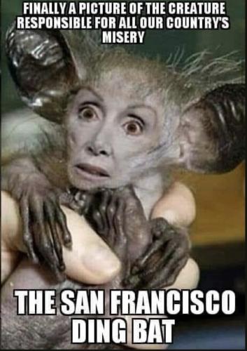 pelosi-=dingbat