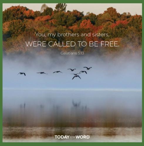 Screenshot_20220912-012308_Gmail