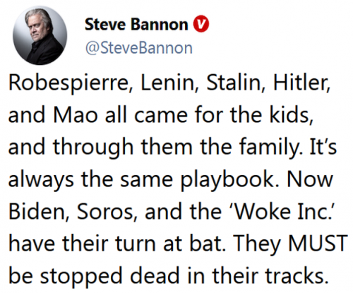 STEVE BANNON KIDS