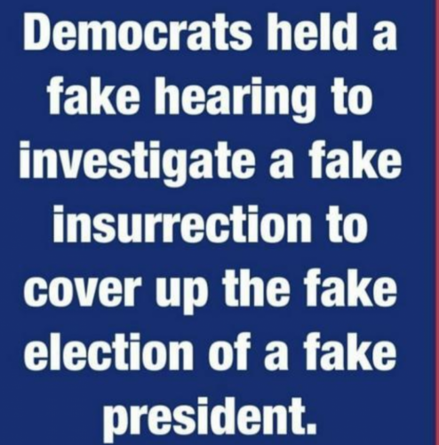 Fake election