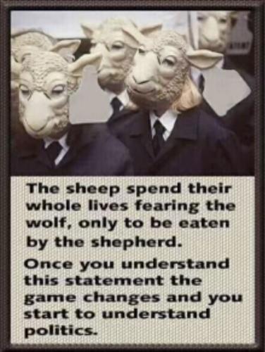 Politics - Sheep spend their whole life fearing wolves