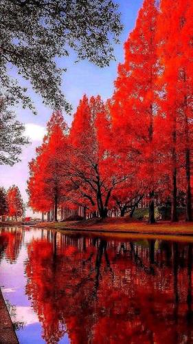 a8086294-e018-4534-bcbc-af05e46c14db