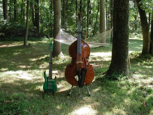 Outdoor Basses