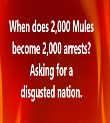 USA 2000 mules
