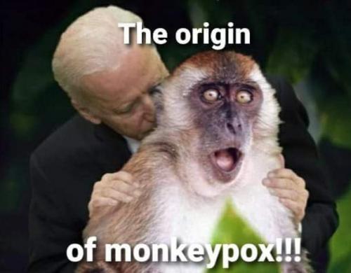 FB_IMG_1662952192239