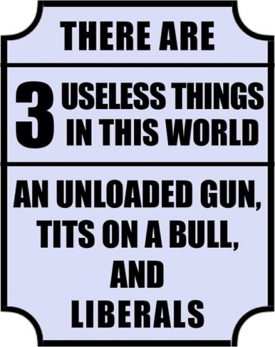 Useless - liberal
