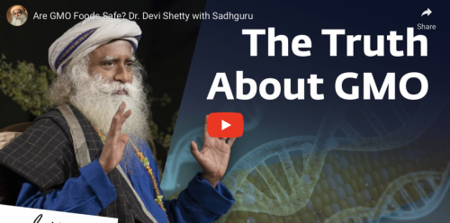 Screen Shot 2022-09-02 at 11.17.03 AM