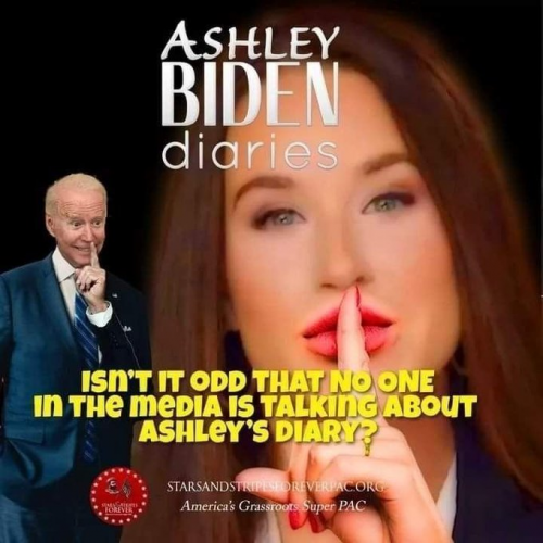 Ashley Biden diary - left media where are you