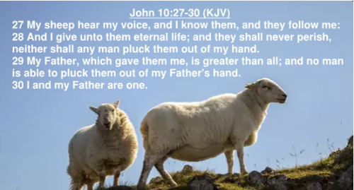 John 10.27