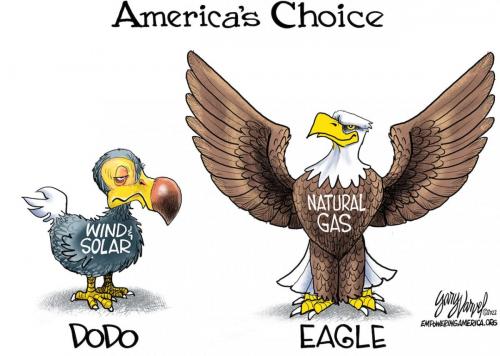 Americas choice