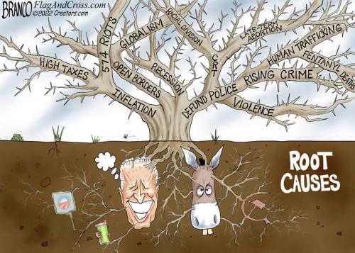02-root-cause-la-1080-1050x750