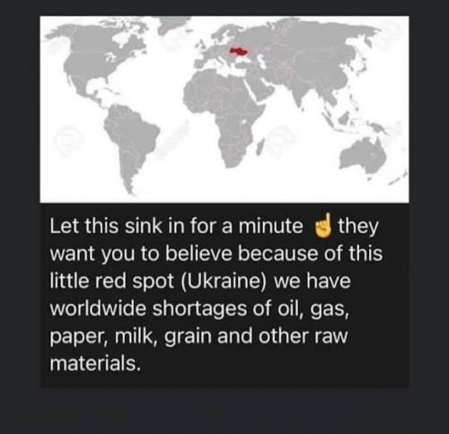 272862f10665279a