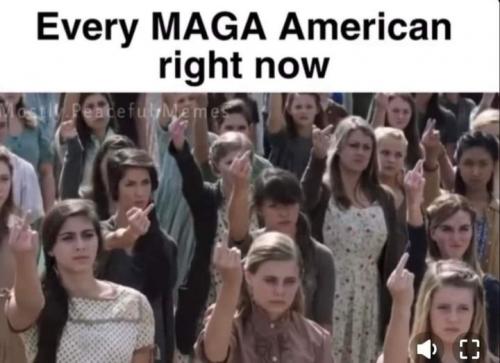 305276588_133576986059355_4269407460459364916_n