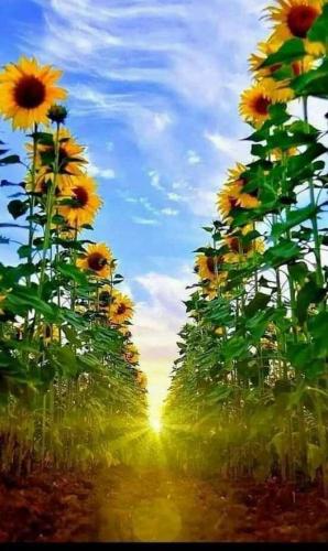 a16d1c46-be37-4903-a170-48cd14adb15f