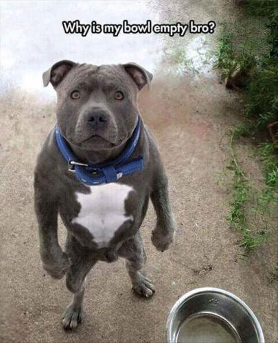 FB_IMG_1493081009087