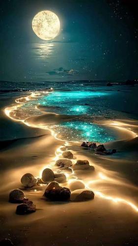 7b909200-0536-4878-8473-3edbdf4a2208