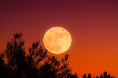 harvest-moon-1828012_1920