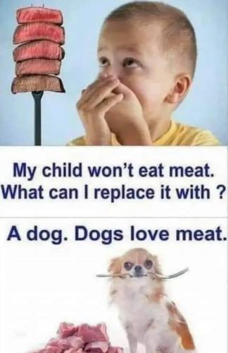 img_3_1662660436125(1)