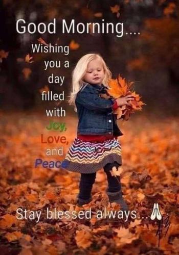 6d045937-07c5-4f64-847d-37e151608f33