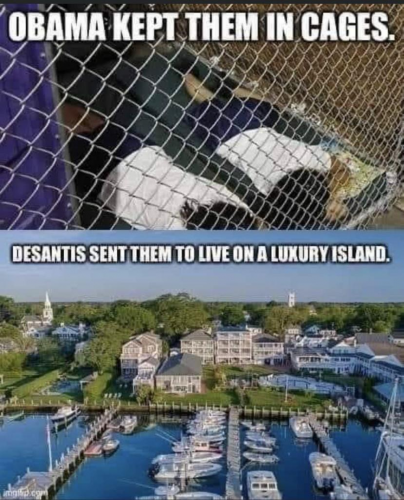 USA cages