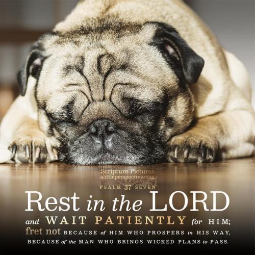 Rest