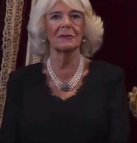 Screenshot_20220920-191147_Gallery