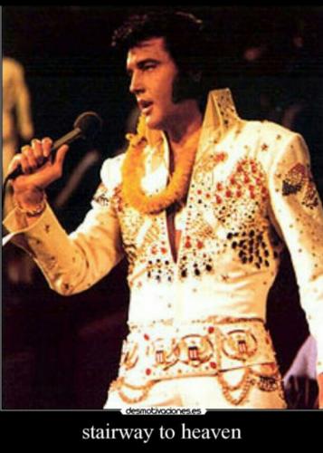 Screenshot_20220912-084345_Gallery