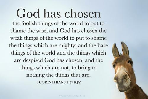 GOD HAS CHOSEN