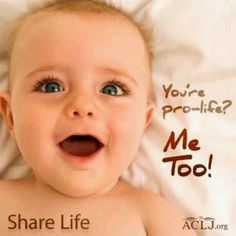 = PRO LIFE 1