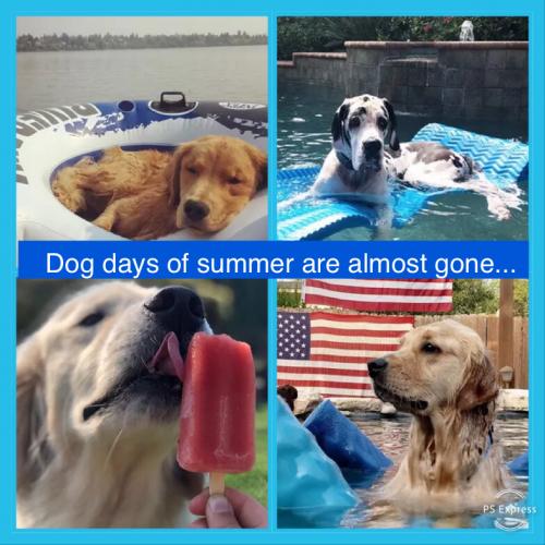 1619E92C-DA85-4D32-9970-0AD8B6BF2229