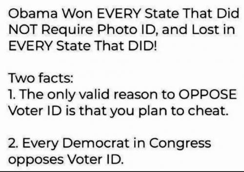 Obama voter ID
