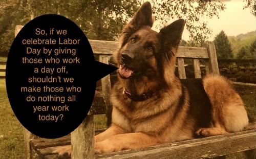 0D10545E-8CE9-4CFB-985C-4A9834148C8B