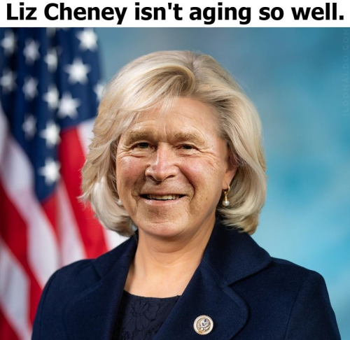 Liz Cheney isnt aging so well Dubya