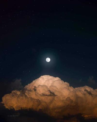 b29b631a-14aa-4a06-8cb6-b1a16784271a