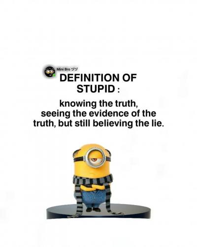 Definition of Stupid